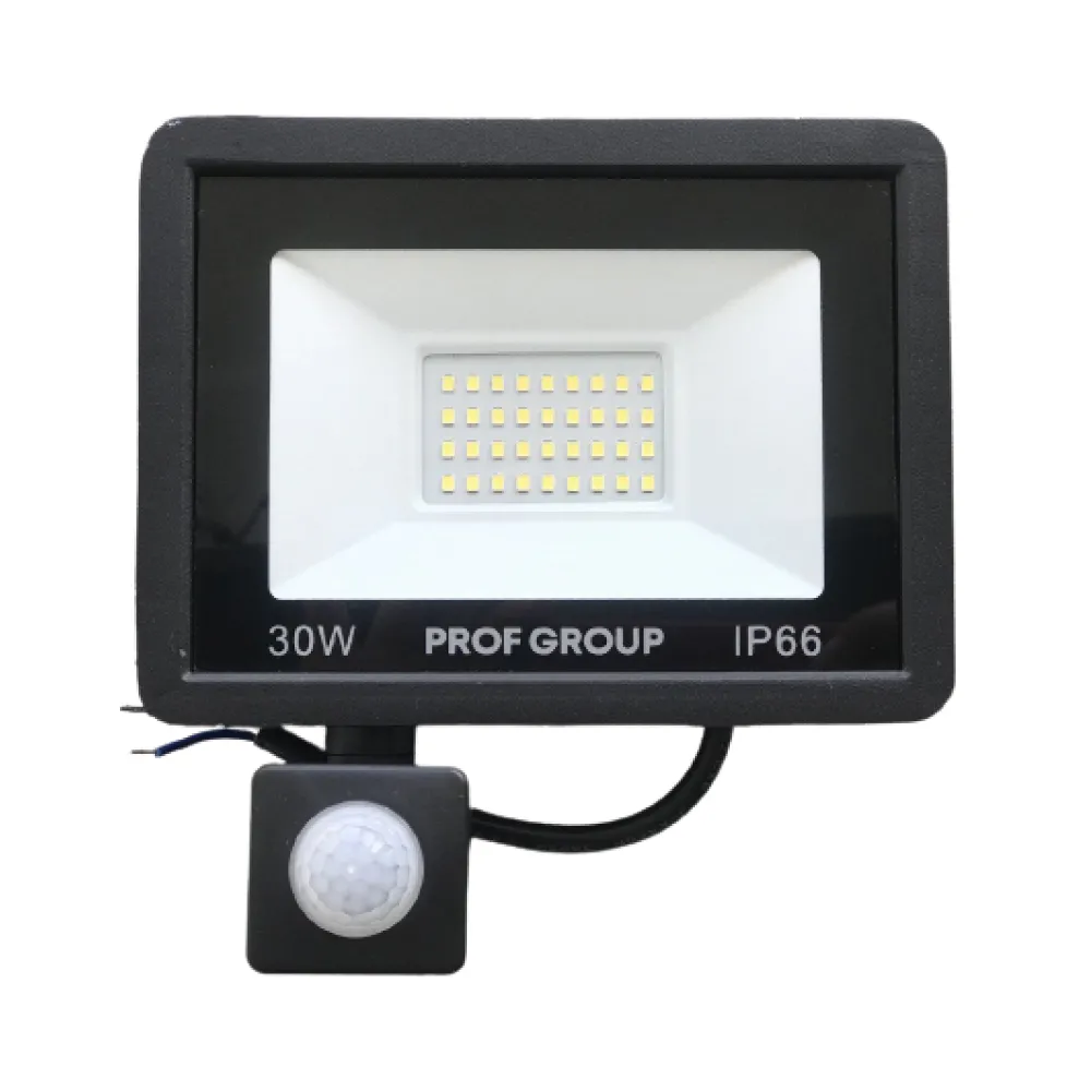 LED прожектор Profgroup з датчиком руху LPD-30W (PG)