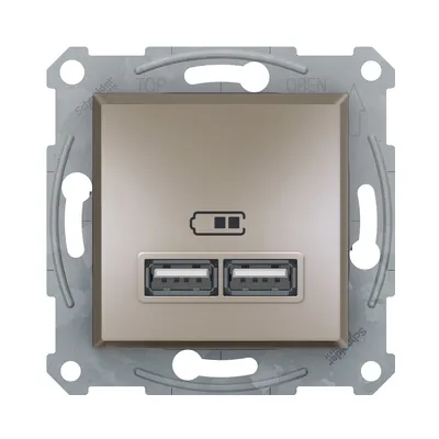 Розетка USB Schneider Electric Asfora бронза подвійна внутрішня EPH2700269