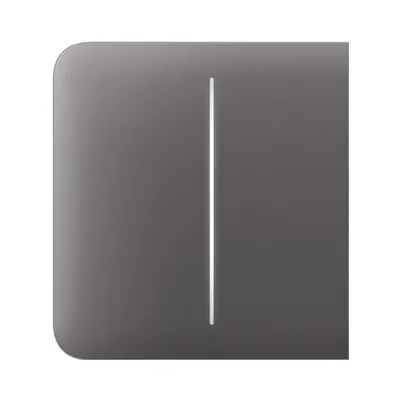 Накладна панель AJAX SideButton для LightSwitch (2-gang) 46023.143.GR