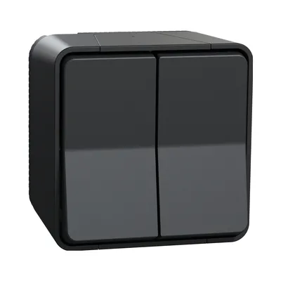 Вимикач 2-клавішний прохідний Schneider Electric Mureva Styl чорний MUR35022