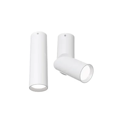 Світильник стельовий Ceiling & Wall Dafne  10 Вт Білий C027CL-L10W MAYTONI