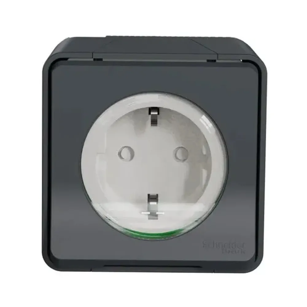Розетка Schneider Electric Mureva Styl наружная с з/к шторками черный MUR36034