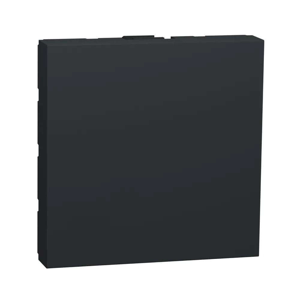 Заглушка Schneider Electric Unica New антрацит 2 модулі NU986654