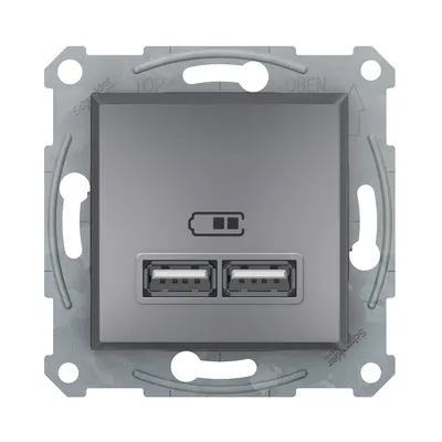 Розетка USB Schneider Electric Asfora сталь подвійна внутрішня EPH2700262