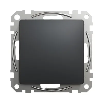 Заглушка Schneider Sedna Design чорний SDD114904