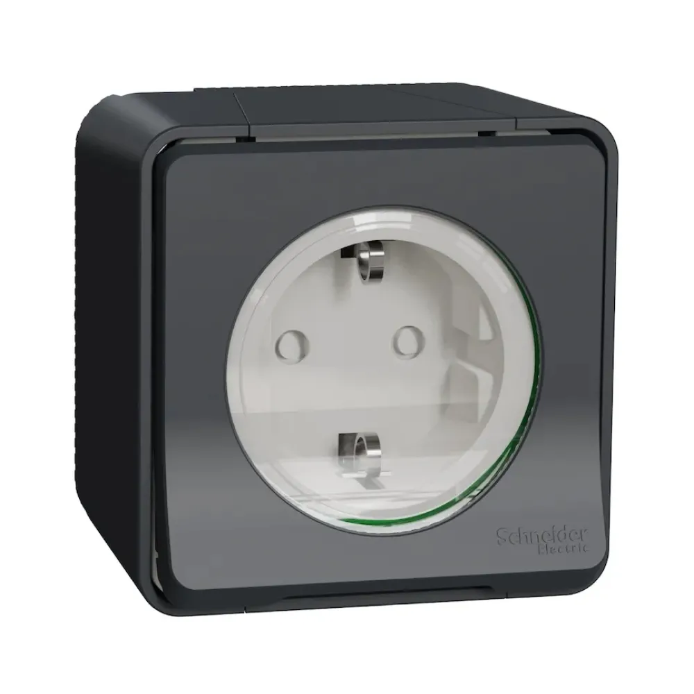 Розетка Schneider Electric Mureva Styl наружная с з/к шторками черный MUR36034