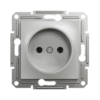 Розетка Schneider Electric Asfora алюминій без заземлення внутрішня EPH3000161
