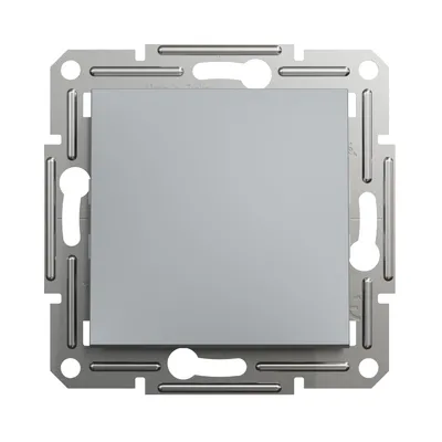Кнопковий вимикач Schneider Electric Asfora сталь самозажимний EPH0700162