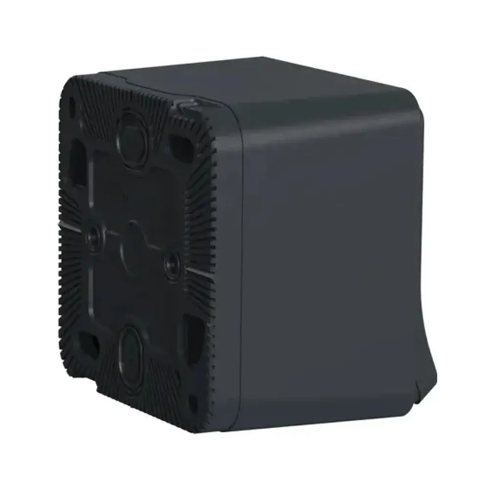 Розетка Schneider Electric Mureva Styl зовнішня з з/к шторками чорний MUR36034