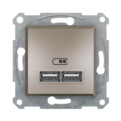 Розетка USB Schneider Electric Asfora бронза подвійна внутрішня EPH2700269