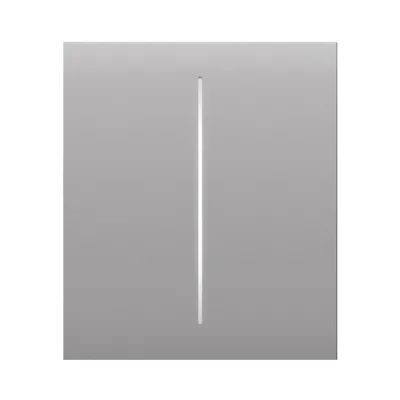 Кнопка Ajax CenterButton для двухклавишного выключателя (2-gang) 46027.140.FG