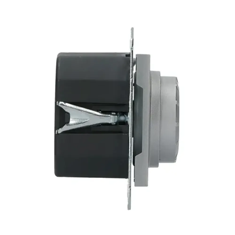 Светорегулятор поворотный Schneider Electric Asfora алюминий внутренний EPH6400161
