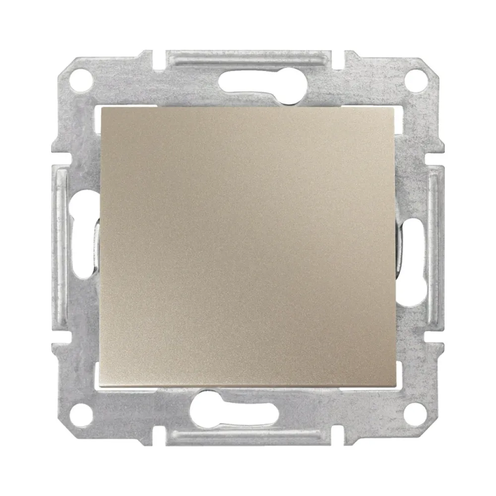 Заглушка Schneider Sedna титан SDN5600168