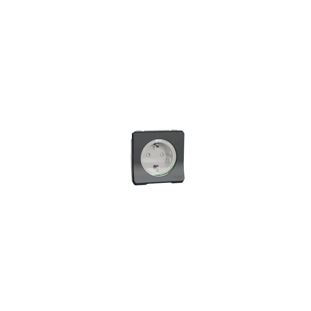 Розетка Schneider Electric Mureva Styl з з/к та шторками чорний MUR36134