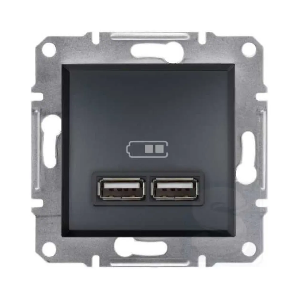 Розетка USB Schneider Electric Asfora антрацит подвійна внутрішня EPH2700271