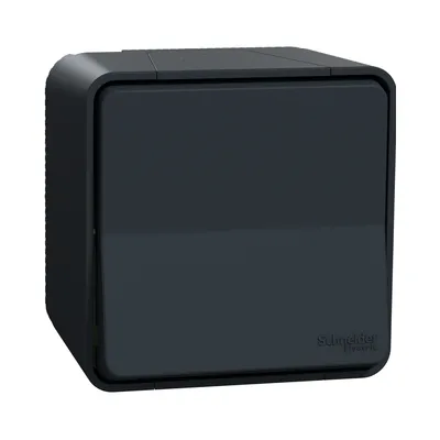 Перемикач накладний Schneider Mureva Styl IP55 чорний MUR35021