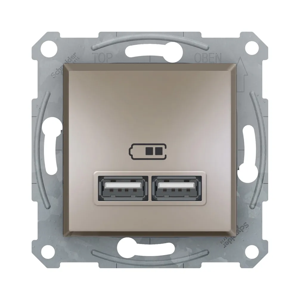 Розетка USB Schneider Electric Asfora бронза двойная внутренняя EPH2700269