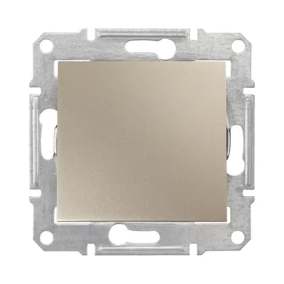 Заглушка Schneider electric Sedna титан SDN5600168