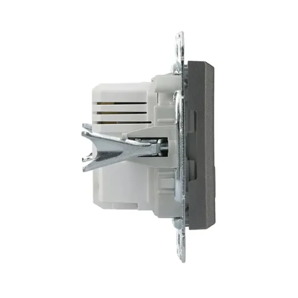 Розетка USB Schneider Electric Asfora сталь подвійна внутрішня EPH2700262
