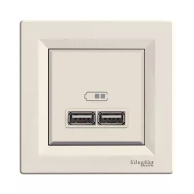 Розетка USB Schneider Electric Asfora кремова подвійна внутрішня EPH2700223