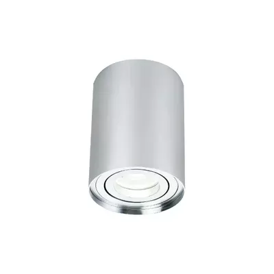 Світильник стельовий Ceiling & Wall Alfa GU10 50 Вт Срібло C016CL-01S MAYTONI